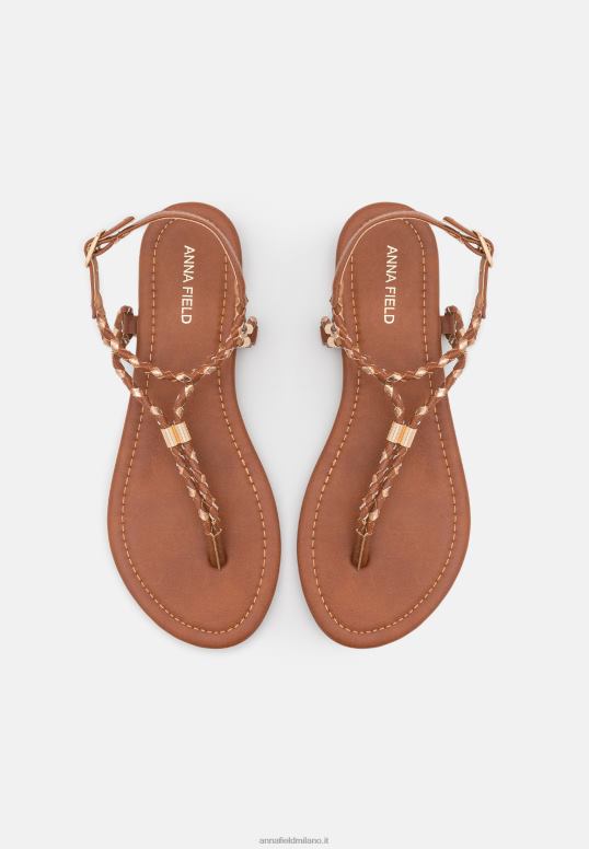 TX2DF1512 donne Anna Field sandali con cinturino a t cognac/oro